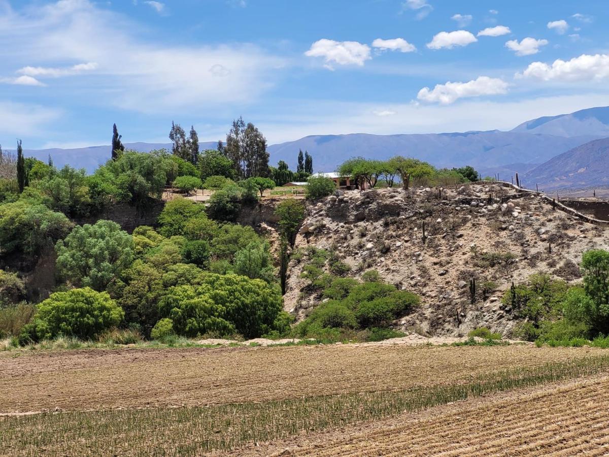 Casa De Campo Huaka Huasy Cachí Екстериор снимка